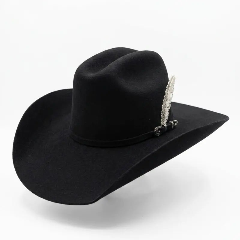 Black Felt Wide-Brim Western Hat with Feather